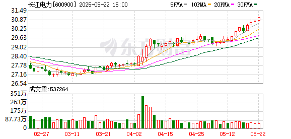 慧仁策略 长江电力：2024年年度股东大会决议公告